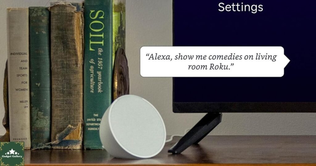 Roku Streaming Stick HD Review alexa